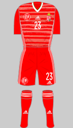 hungary euro 2020 red kit