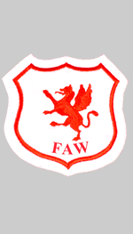 fa of wales crest 1925